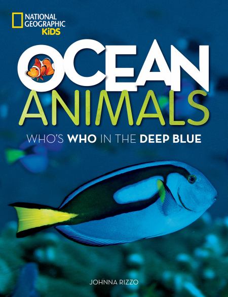 Ocean Animals | Hachette Book Group