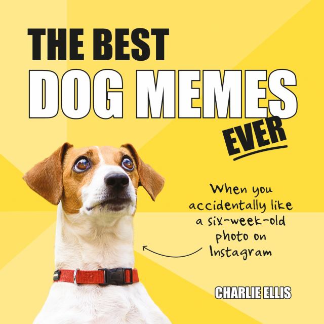 The Hilarious Dog Meme Captured Up Close and Personal