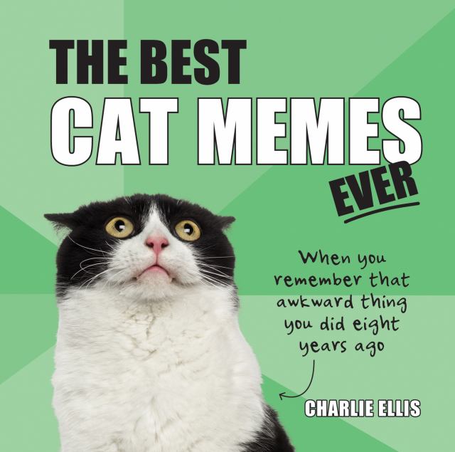 you got this cat meme